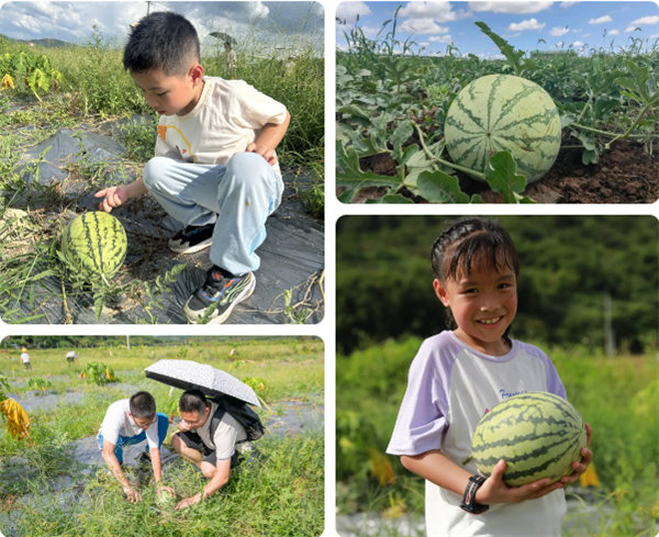 趣游盛夏，一路童行—2024年廣東博皓親子游   -12